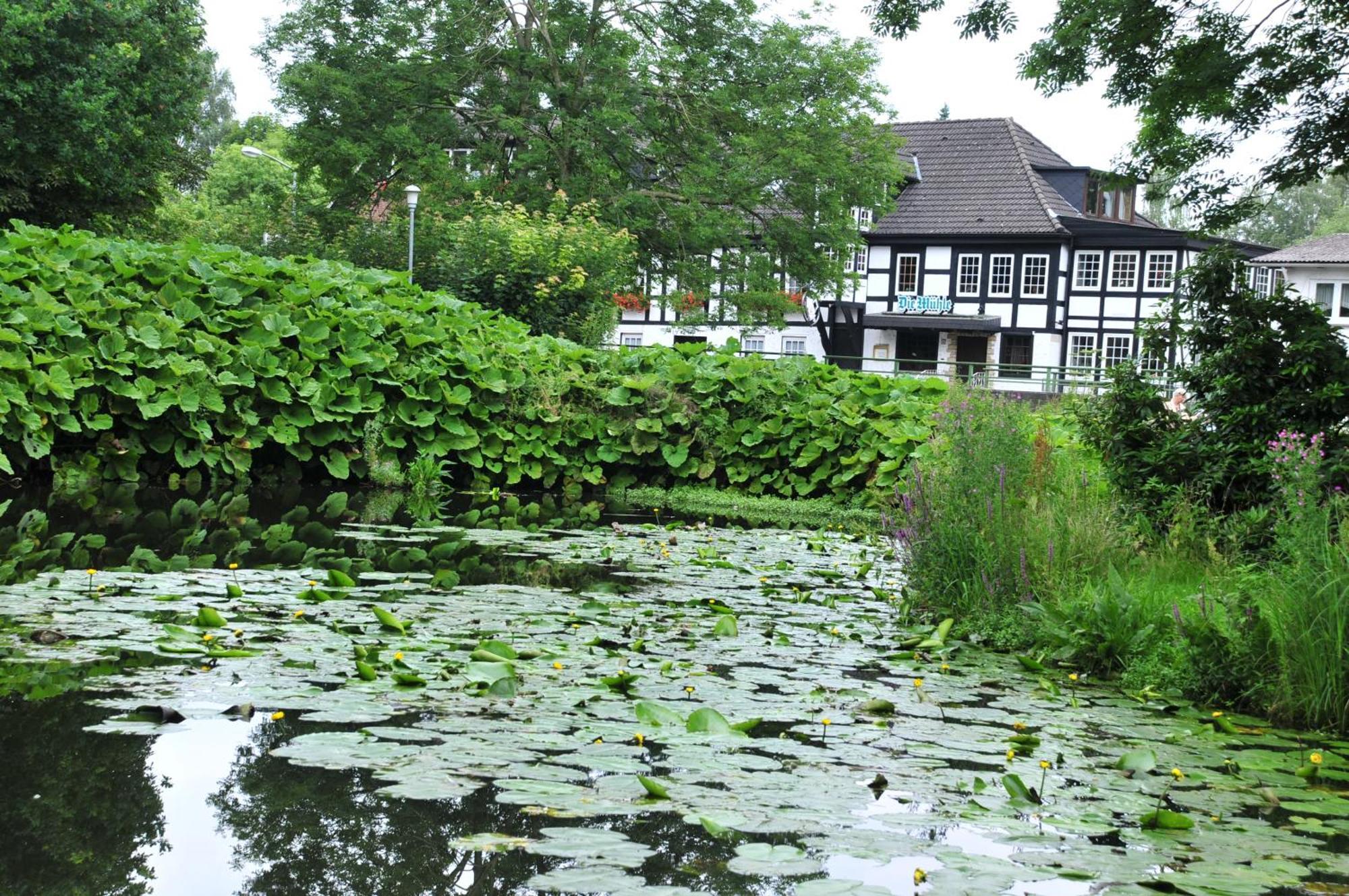 Akzent Hotel Zur Wasserburg - Hotel Garni Bed & Breakfast Harpstedt Exteriér fotografie